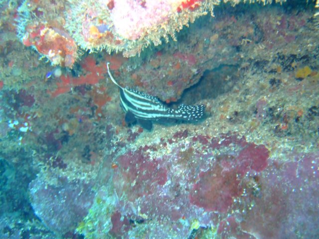 dscf3535.jpg