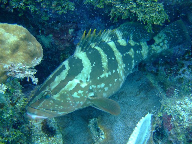 dscf3537.jpg
