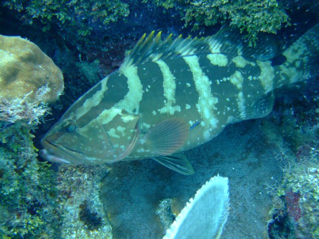 dscf3538.jpg