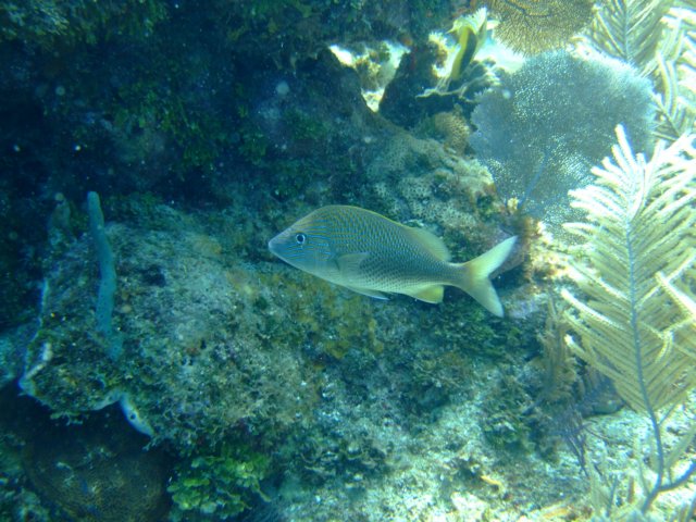 dscf3542.jpg