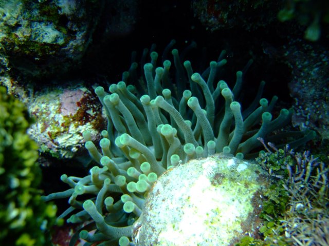 dscf3548.jpg