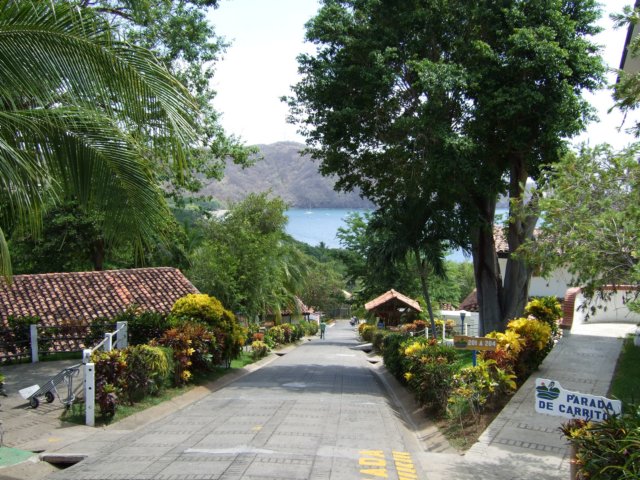 dscf1121.jpg