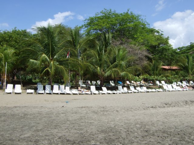 dscf1127.jpg