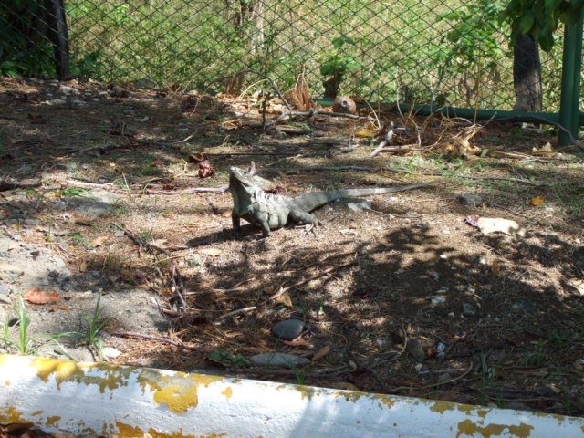 dscf1133.jpg
